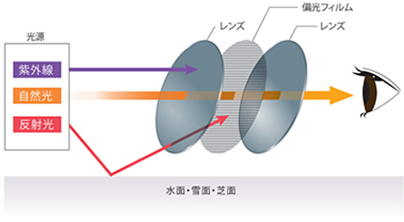 偏光膜タイプの偏光レンズ