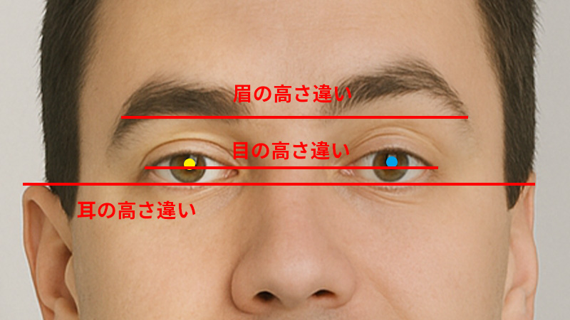 「見立てのフィッティング」とは